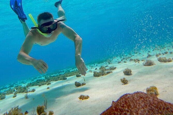 Discovering El Cielo Reef by Double Decker Catamaran - El Cielo: The Starfish Sanctuary and Sandbank