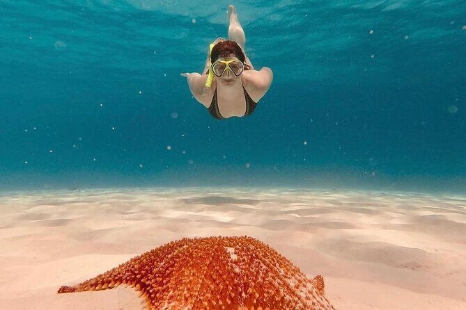Discovering El Cielo Reef by Double Decker Catamaran - Food, Drinks, and Entertainment