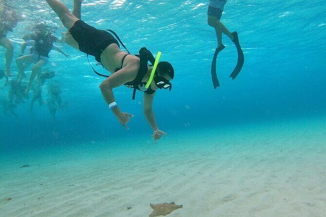 Discovering El Cielo Reef by Double Decker Catamaran - What Travelers Say