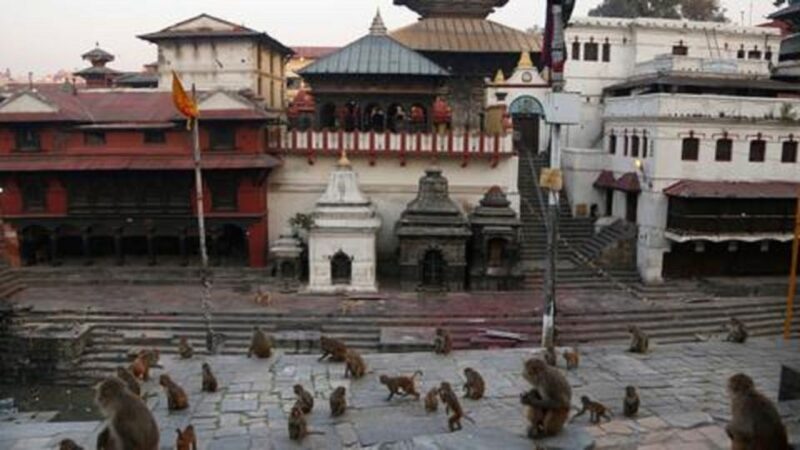 Discovering Kathmandu: Full-Day City Highlights Bus Tour - Introduction: An Ideal Snapshot of Kathmandu