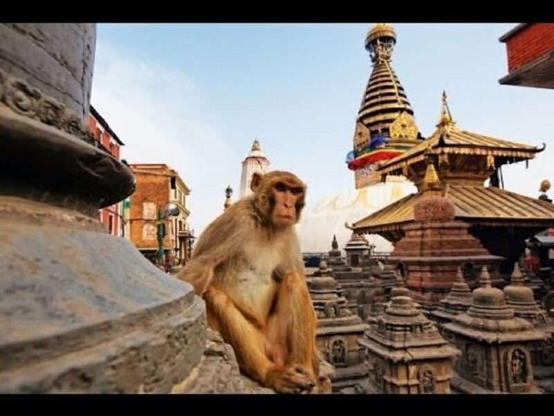 Discovering Kathmandu: Full-Day City Highlights Bus Tour - What You Get (And What You Don’t)