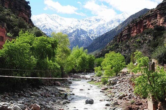 Discovering Ourika Valley and Atlas Mountains with a Local Guide - The Sum Up