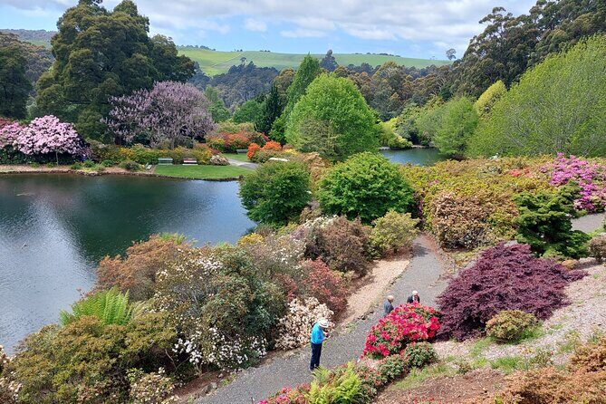 Discovering Tasmania: Burnie Shore Excursion - Transportation, Group Size, and Overall Comfort