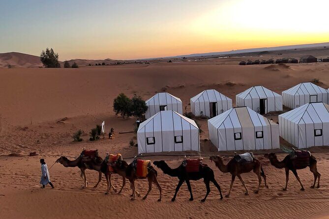 Discovering the 3 days trip to desert (merzouga trip from marrakech) - Who Should Consider This Tour?