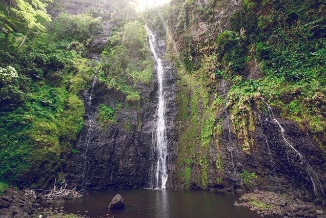 Discovering the emblematic sites of Tahiti - Who Should Consider This Tour?