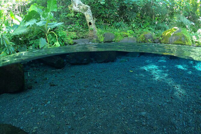 Discovering the emblematic sites of Tahiti - Who Will Enjoy This Tour?