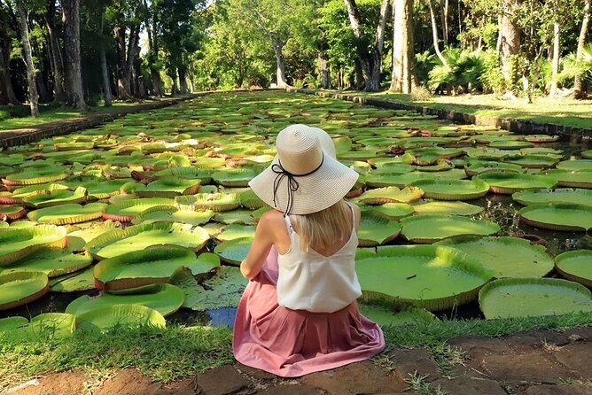 Discovering the North of Mauritius: Full-day incl Botanical garden & lunch - Overall Value and Practical Tips