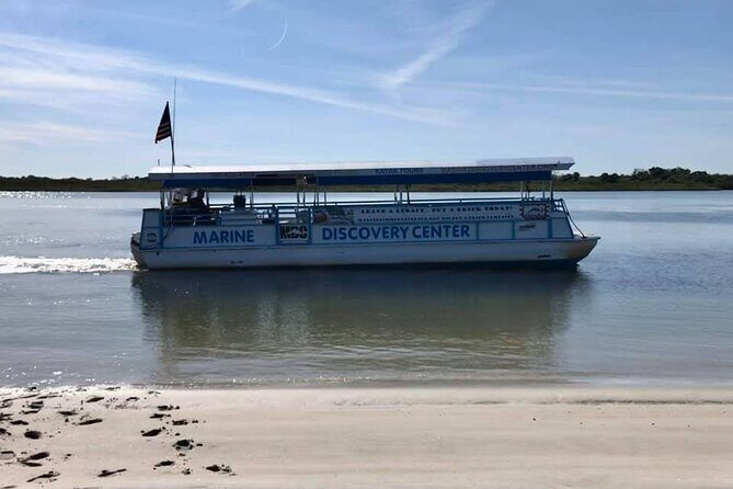 Discovery Dolphin Boat Tour - Discovery Dolphin Boat Tour: An Authentic Florida Wildlife Experience
