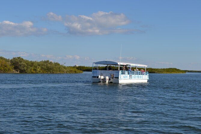 Discovery Dolphin Boat Tour - Overview of the Discovery Dolphin Boat Tour