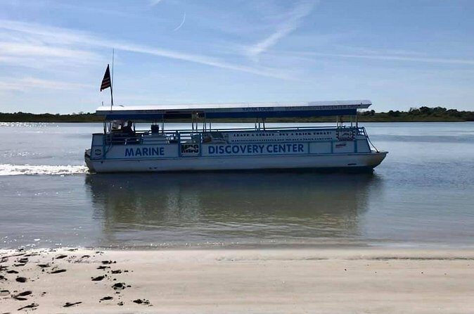 Discovery Dolphin Boat Tour - The Sum Up