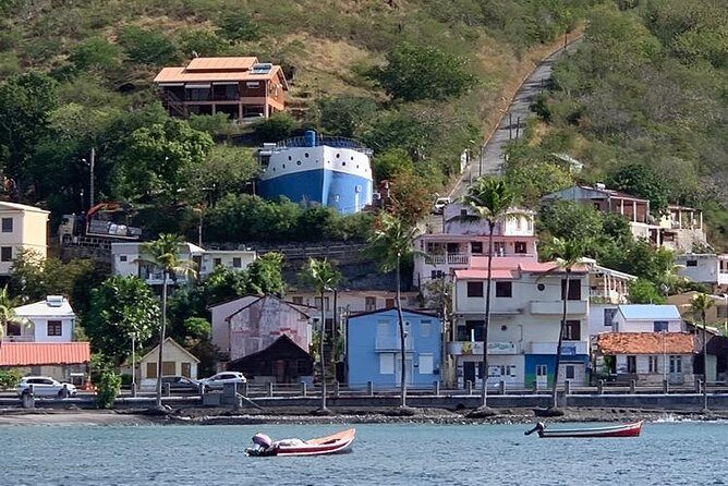 Discovery of dolphins on the Caribbean coast - FAQs