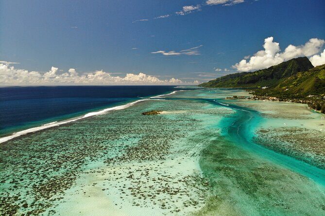 Discovery of the lagoon DE Moorea Visit and Snorkeling 5 Pax Max - A Closer Look at the Experience