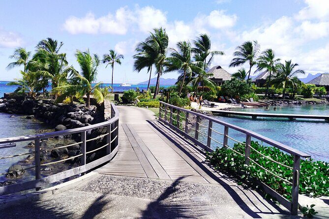 Discovery of the West Coast of Heipoerau Half Day Private - Who Would Enjoy This Tour?