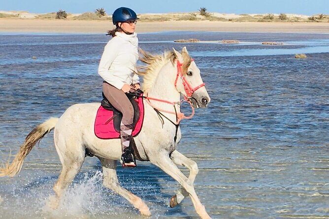 Discovery ride on horseback or camel 2h30 - Key Points