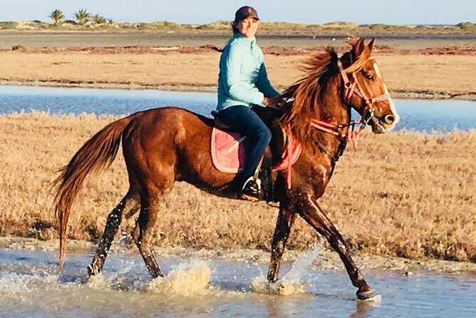 Discovery ride on horseback or camel 2h30 - Crossing the Lagoon: A Highlight