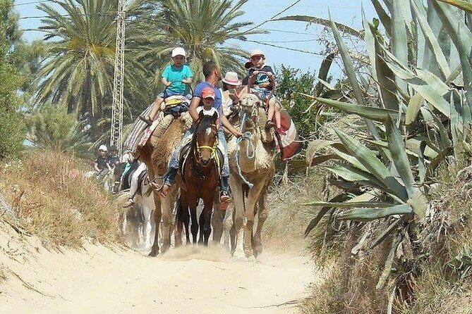 Discovery ride on horseback or camel 2h30 - Scenery and Diverse Landscapes