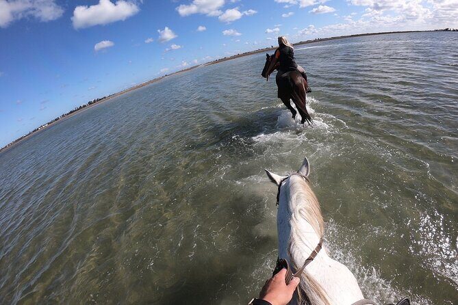 Discovery ride on horseback or camel 2h30 - The Quality of the Horses and Guides