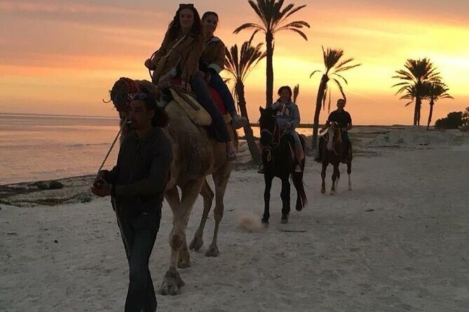 Discovery ride on horseback or camel 2h30 - Logistics and Practical Details