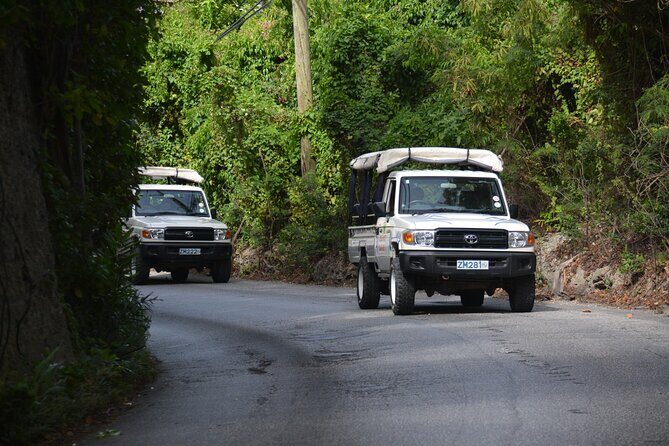 Discovery Safari - Key Points