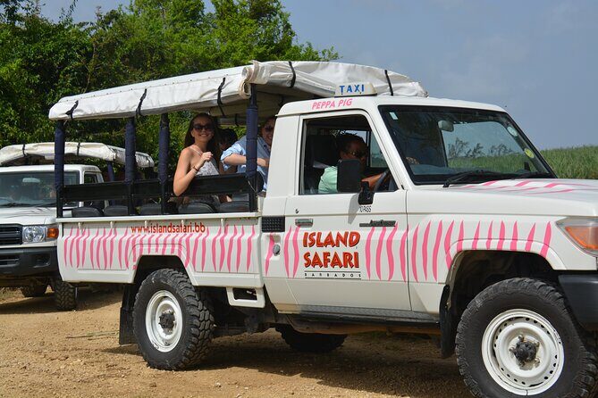 Discovery Safari - An In-Depth Look at the Discovery Safari Experience