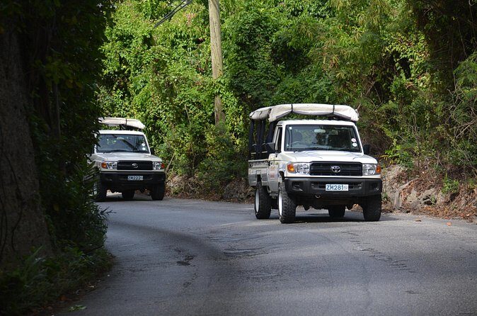 Discovery Safari - Authentic Insights from Past Travelers