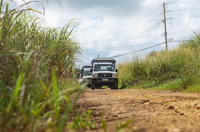 Discovery Safari - Final Thoughts: Is This Tour Right for You?