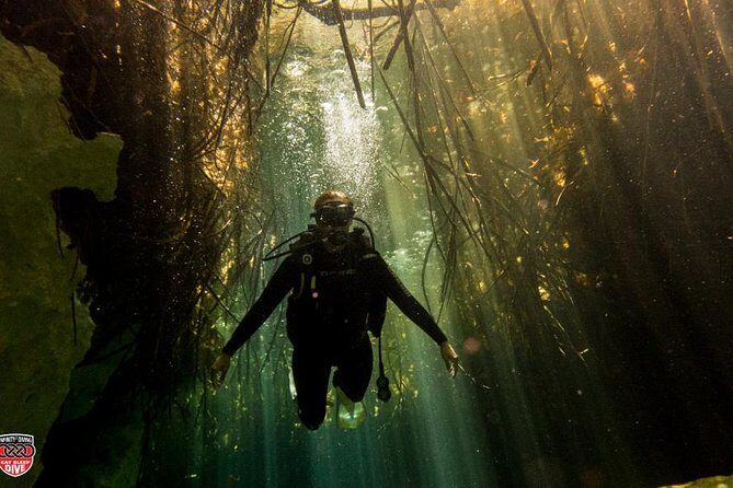 Discovery Scuba Diving - What to Expect from the Tour
