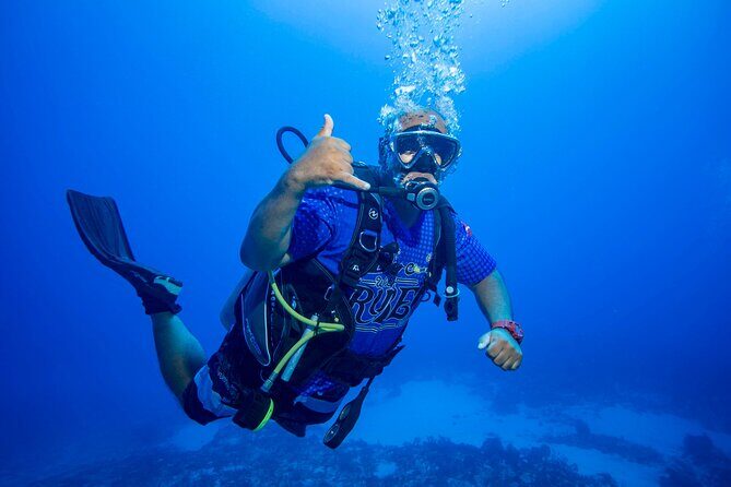Discovery Scuba Diving !! - The Reviews: Authentic Perspectives