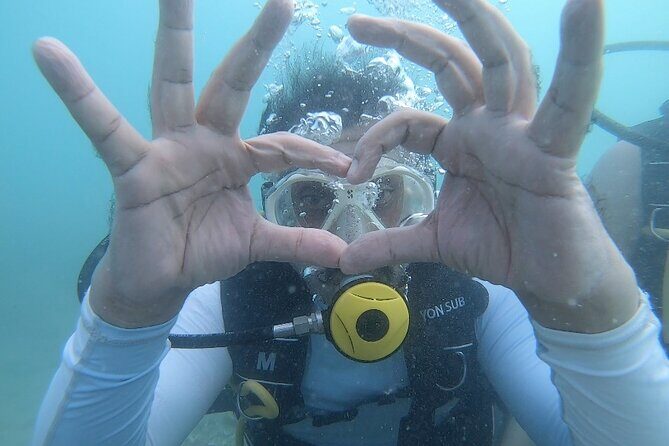Discovery Scuba Diving in Dubai - Key Points
