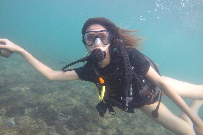 Discovery Scuba Diving in Dubai - Final Verdict: Who Should Consider This Tour?