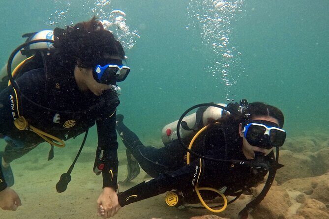 Discovery Scuba Diving in Dubai - Shallow Water Training: Practical Learning with a Friendly Touch