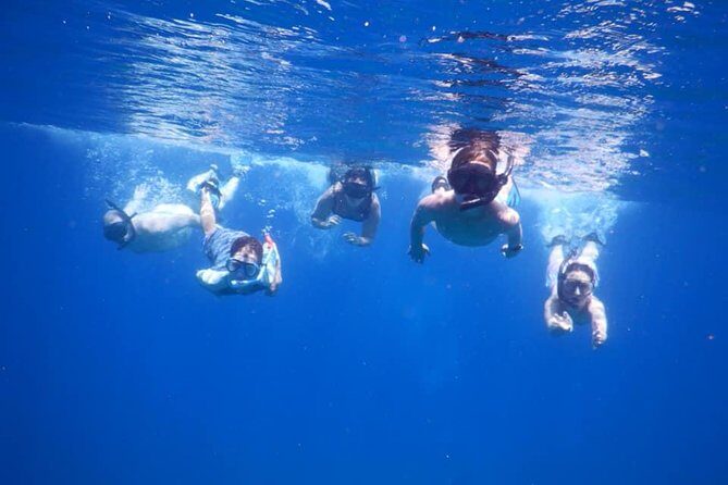 Discovery Scuba Diving & Snorkeling at Nha Trang Bay - What Travelers Are Saying