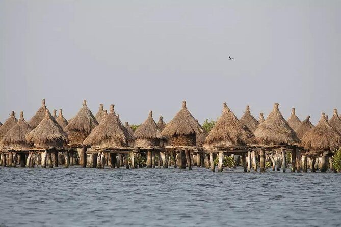 Discovery Senegal 8 Days 7 Nights - Practical Details That Matter