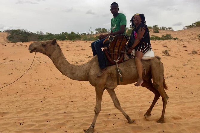 Discovery Senegal 8 Days 7 Nights - FAQ