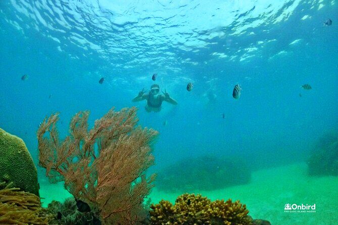 [DISCOVERY SNORKELING] 4 Islands-2 Reefs & BBQ [MAX 12 PAX] - What to Expect from the Tour