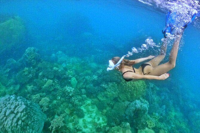[DISCOVERY SNORKELING] 4 Islands-2 Reefs & BBQ [MAX 12 PAX] - Who Should Consider This Tour?