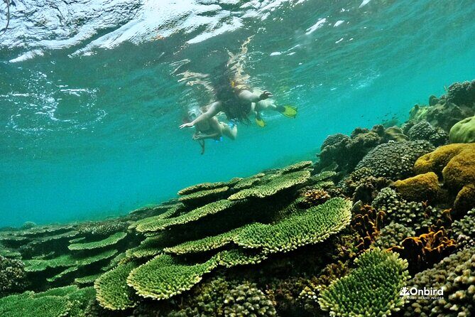 [DISCOVERY SNORKELING] 4 Islands-2 Reefs & BBQ [MAX 12 PAX] - FAQs