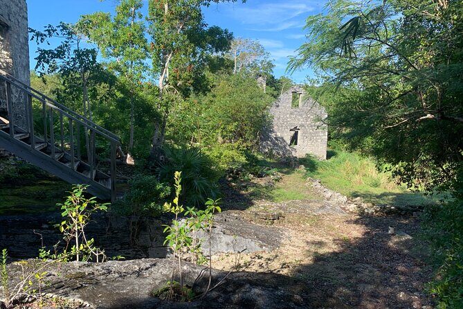 Discovery Tour and Treasure Hunt ( North and Middle Caicos) - Analyzing the Value