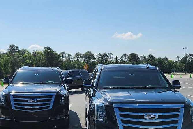 Disney Hotels Private Van Transfer to/from Orlando Intl Airport - Punctuality and Reliability