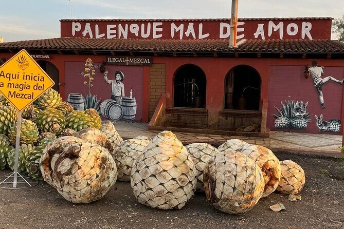 Distillery Tour and Agave Fields by Mal de Amor Mezcal - A Closer Look at the Tour Experience
