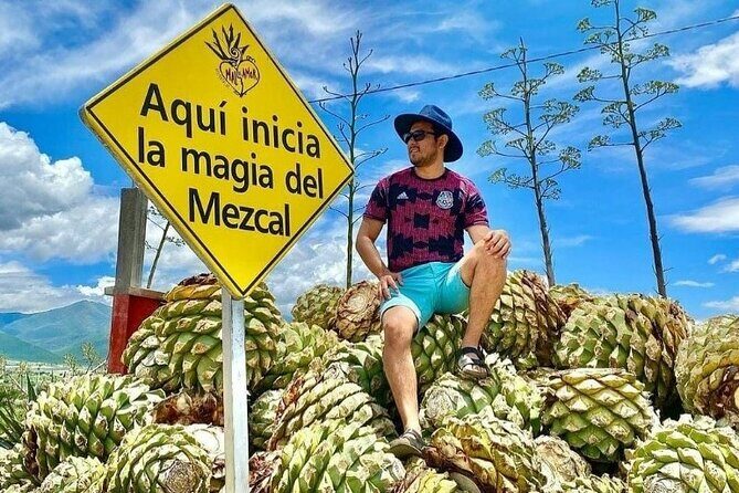 Distillery Tour and Agave Fields by Mal de Amor Mezcal - Frequently Asked Questions