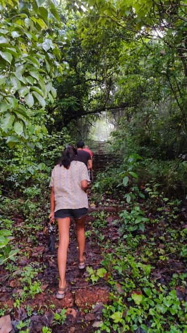Divar Island Excursion with a Native Islander - A Detailed Look at the Divar Island Experience