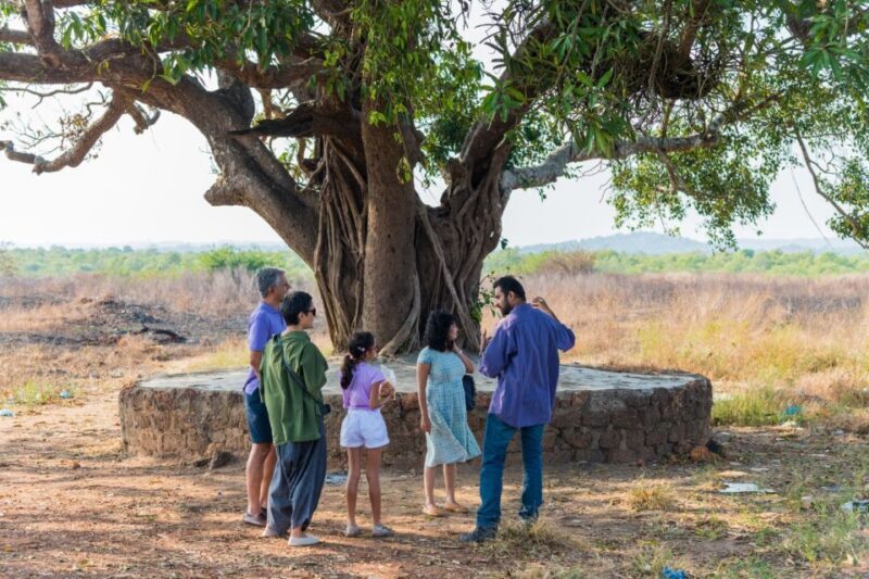 Divar Island: Local Goan Village Tour with Traditional Lunch - Key Points