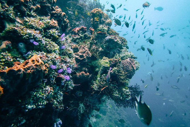 Dive at Tulamben Bali USS Liberty Ship Wreck - The Long Drive and Practicalities