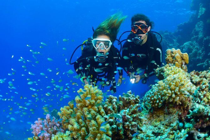 Dive at Tulamben Bali USS Liberty Ship Wreck - Who Is This Tour Best For?
