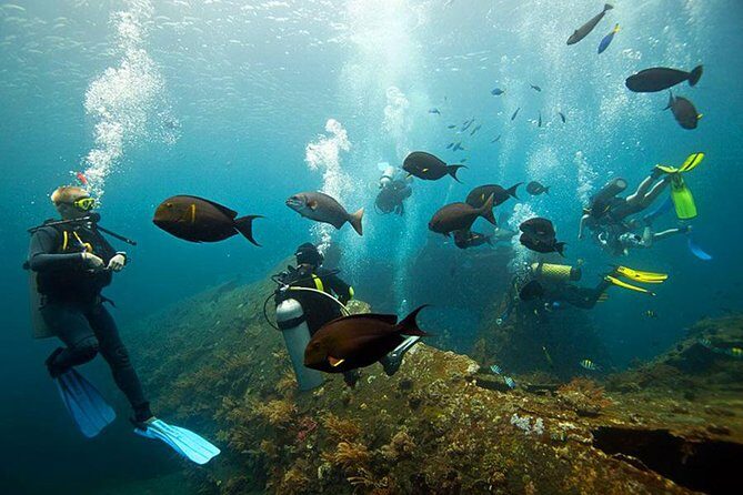 Dive at Tulamben Bali USS Liberty Ship Wreck - FAQ