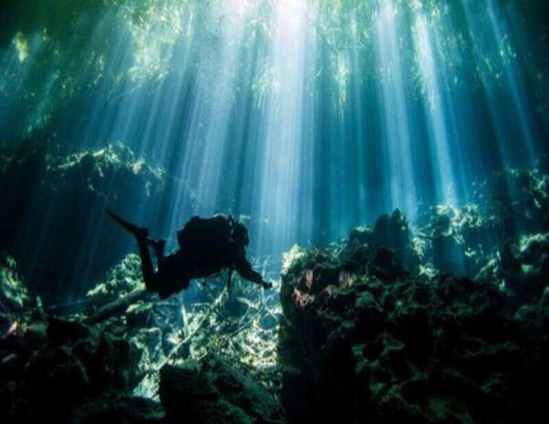 Dive Cenote - The Practicalities: Timing, Group Size, and Booking
