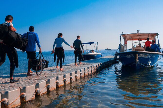 Dive trip to the coral reefs of Fujairah for certified scuba divers - Key Points