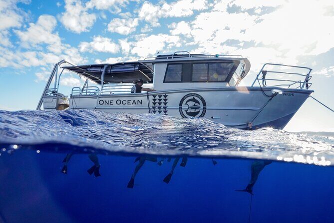 Dive with Sharks in Hawaii: Shark Tour from Haleiwa - The Value of This Tour: More Than Just an Encounter