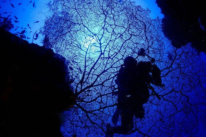 DiveGurus -Scuba Diving in Boracay - Key Points